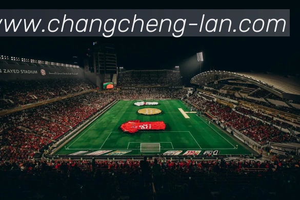长城体育APP 封面图